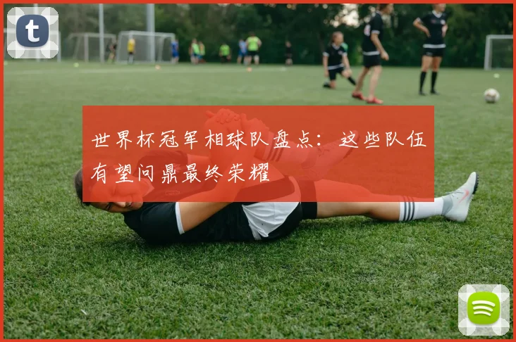 世界杯冠军相球队盘点:这些队伍有望问鼎最终荣耀